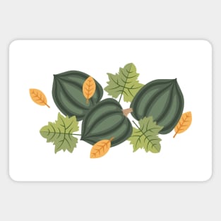 Acorn Squash Magnet